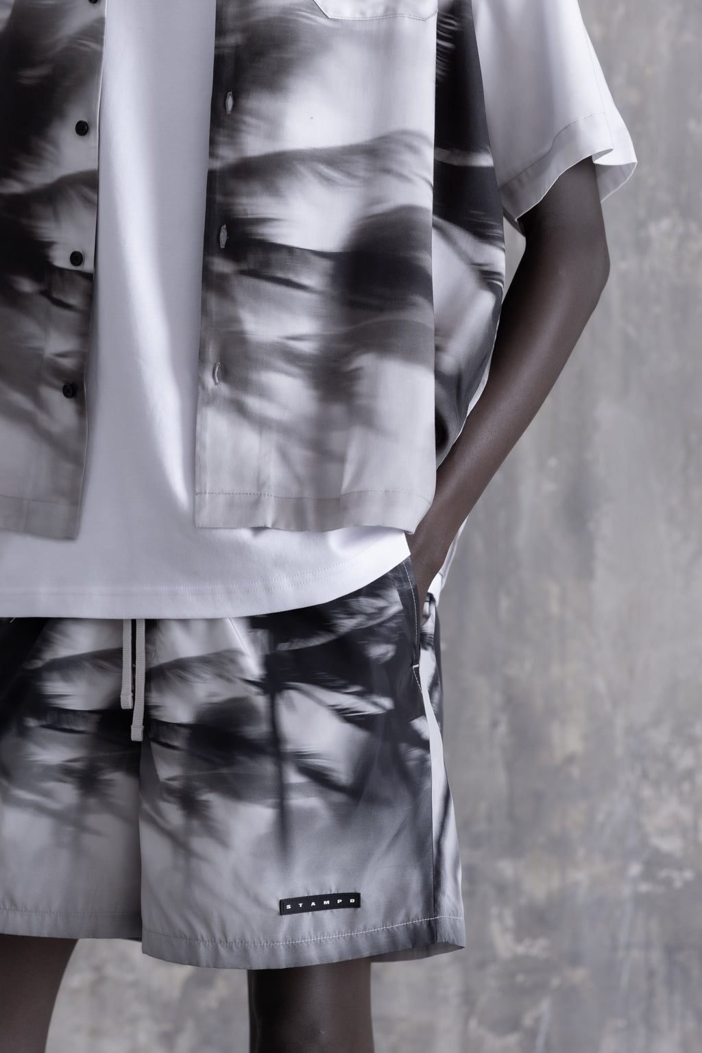 Palms in Motion Camp Collar