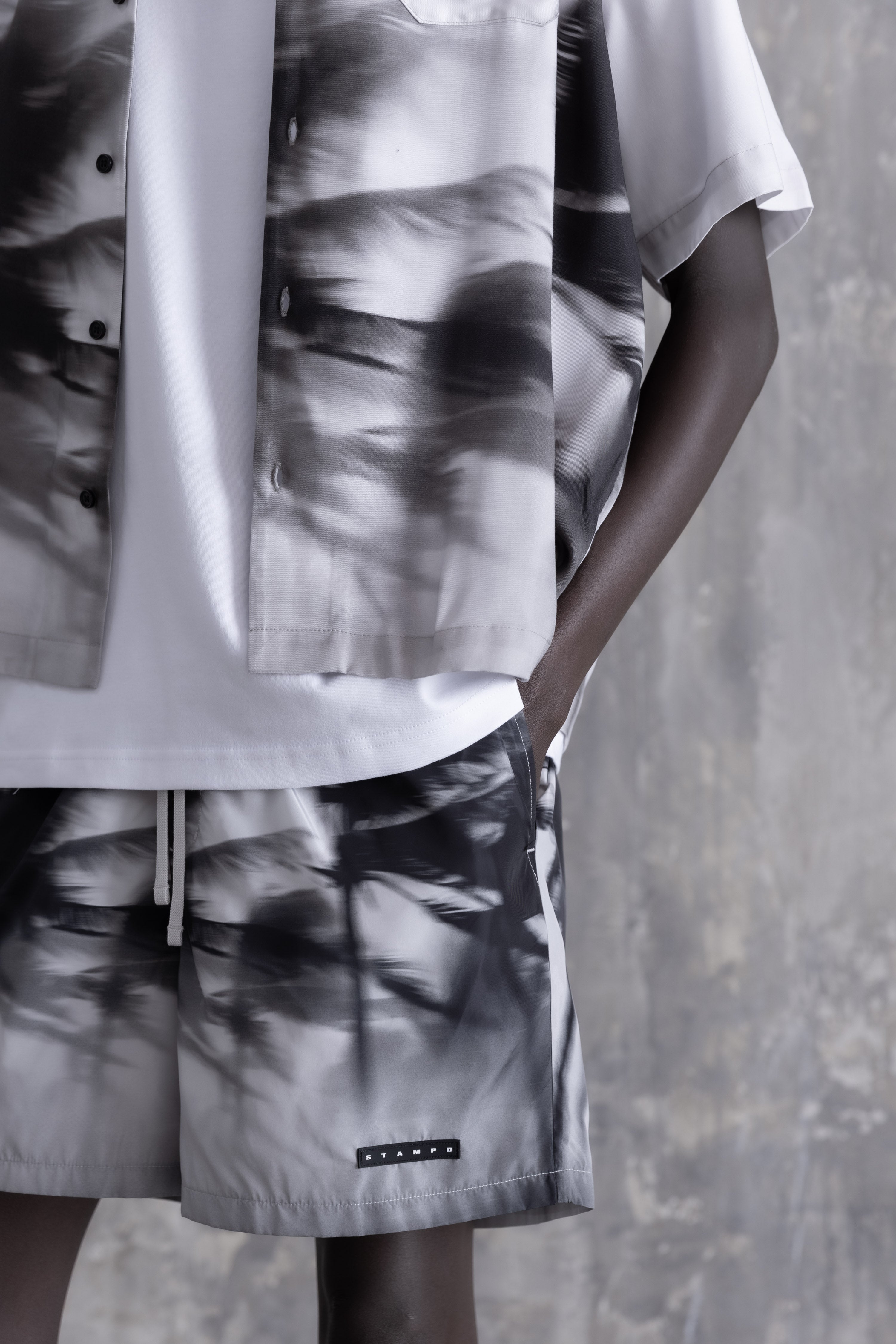 Palms in Motion Trunk