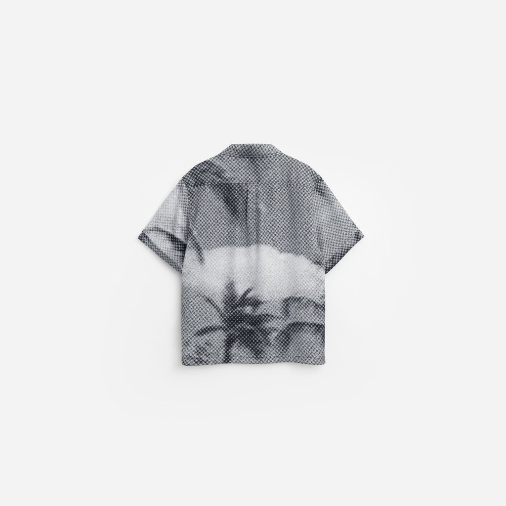 Patina Palm Camp Collar