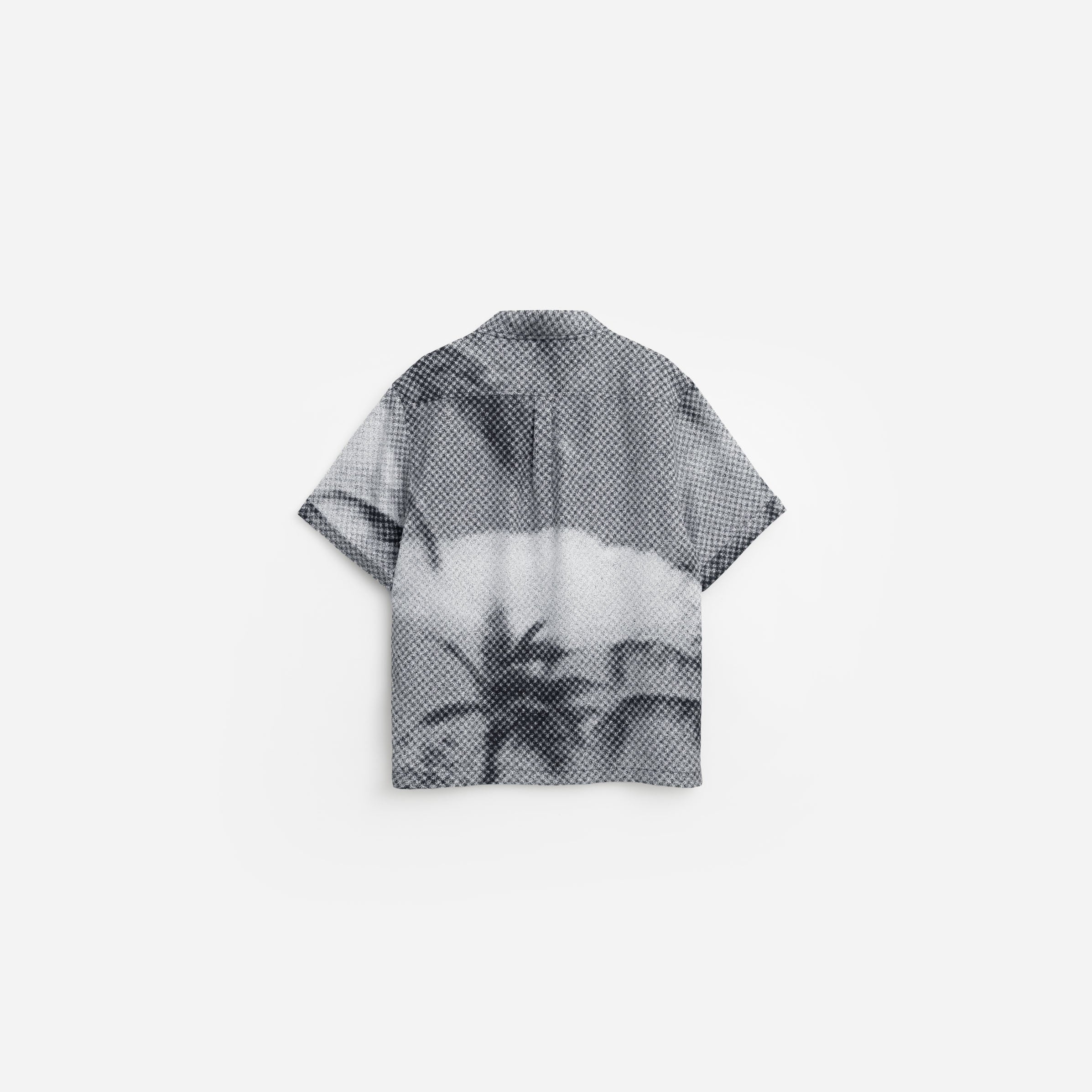 Patina Palm Camp Collar